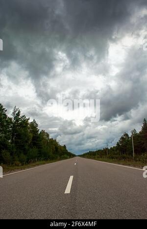 Empty straight dark forest asphalt road going to the distance, autumn ...