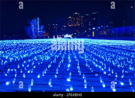 Light Festival in haeundae, Busan , South Korea, Asia. Stock Photo