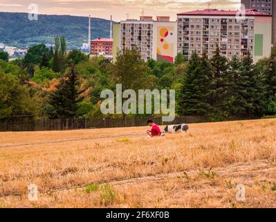 Usti nad Labem, Czech republic - 8.27.2018: Young man with a dog on a meadow checks his smart phone Stock Photo