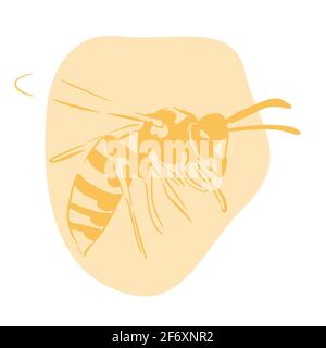 Wasp illustration yellow isolated on white background Stock Vector