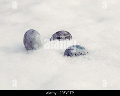Painted chicken eggs on white snow on spring day. Stock Photo