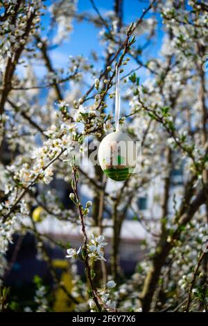 Close up of Easter eggs hanging from tree branches Stock Photo