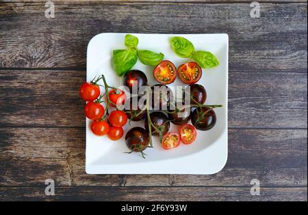 Black and red tomatoes with basil on a white plate. Stock Photo