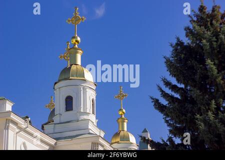 orthodox crosses on gold domes (cupolas) againts blue sky Stock Photo