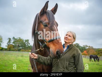 Horse Owner in Field Stock Photo