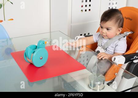 8 month old baby boy sitting in high chair at table Piaget Object Permanence sequence #1 viewing toy on table Stock Photo
