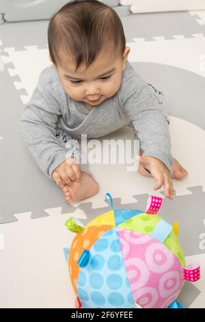 Six month old baby boy sitting reaching and leaning forward toward interesting new toy, colorful soft cloth ball Stock Photo