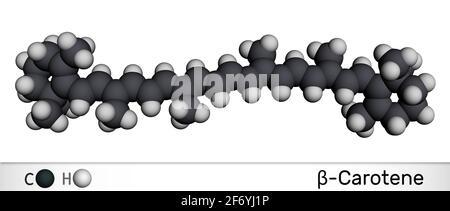 Beta Carotene, provitamin A, is an organic red-orange pigment in plants and fruits. Molecular model. 3D rendering. 3D illustration Stock Photo