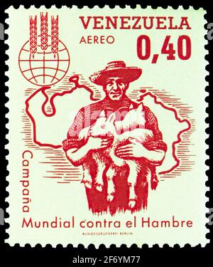 MOSCOW, RUSSIA - JANUARY 18, 2021: Postage stamp printed in Venezuela shows Breeding, Freedom from Hunger serie, circa 1963 Stock Photo