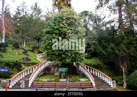 Termal, Yalova - Turkey - January 26 2021: Termal hot springs and thermal baths town Stock Photo