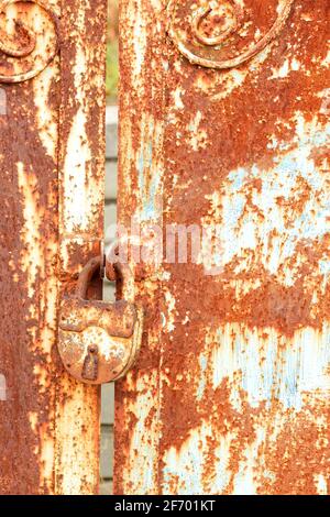 Old rusty padlock on a metal gate with rust texture and weathered aged flaking paint. Vertical image, copy space. Stock Photo