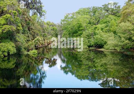 river scene, water, trees, vegetation, nature, tranquil, reflections, Florida, Hillsborough River State Park, Thonotosassa, FL, spring Stock Photo