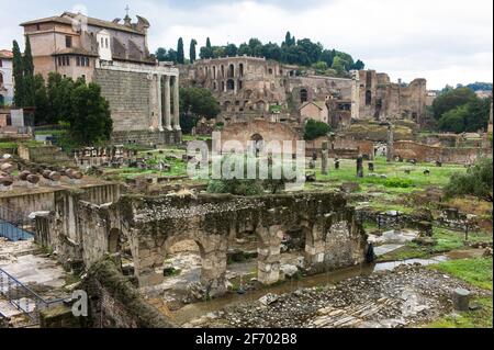 Roman Forum ruins in Rome with rainy weather Stock Photo