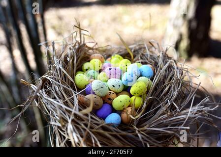 Multi-colored Easter eggs in a bird's nest. Straw and twig bird nest with egg. Easter is a Christian holiday that celebrates the belief in the resurre Stock Photo