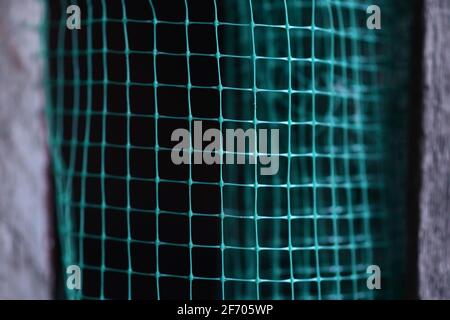 geometrically distorted texture grid. green grid background. Selective focus. Stock Photo