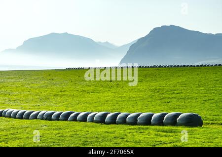 Rural scene with farm field and hay stacks on the Faroe Islands Stock Photo