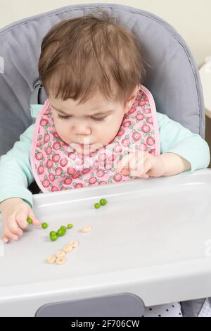 10 month old baby girl eating in high chair feeding self peas using pincer grasp Stock Photo Alamy