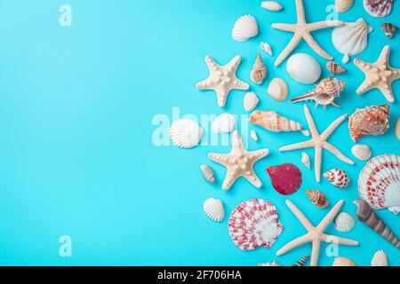 Background with seashells, a large variety of seashells and starfish on a light blue background. Top view with copy space. Stock Photo