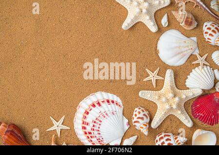 Natural textured sea shore surface with space to copy. Starfish and shells close-up on the sand. Stock Photo