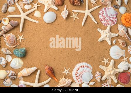 Summer time concept with seashells and starfish on the beach sand. Sea background with space to copy. Stock Photo