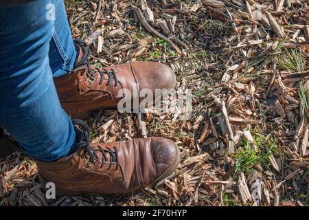 man dressed in blue jeans and brown leather boots standing on pieces of wood and splinters. Close up. top view. Stock Photo