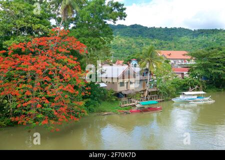 Riverbank residence and boats on the Loboc River, Loboc, Bohol, Central Visayas, Philippines. Stock Photo