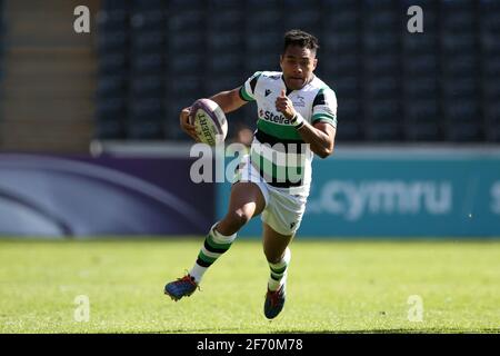 Swansea, UK. 03rd Apr, 2021. George Wacokecoke of Newcastle Falcons in action. European Rugby challenge cup, round of 16 match, Ospreys v Newcastle Falcons at the Liberty Stadium in Swansea, South Wales on Saturday 3rd April 2021. pic by Andrew Orchard/Andrew Orchard sports photography/Alamy Live news Credit: Andrew Orchard sports photography/Alamy Live News Stock Photo