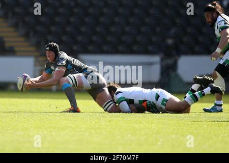 Swansea, UK. 03rd Apr, 2021. Adam Beard of the Ospreys passes the ball while tackled. European Rugby challenge cup, round of 16 match, Ospreys v Newcastle Falcons at the Liberty Stadium in Swansea, South Wales on Saturday 3rd April 2021. pic by Andrew Orchard/Andrew Orchard sports photography/Alamy Live news Credit: Andrew Orchard sports photography/Alamy Live News Stock Photo