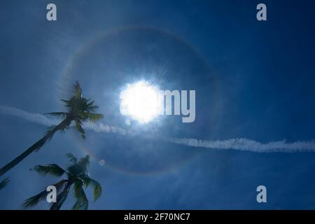 A solar halo or sundog in a Filipino sky. Palm trees. The Philippines Stock Photo