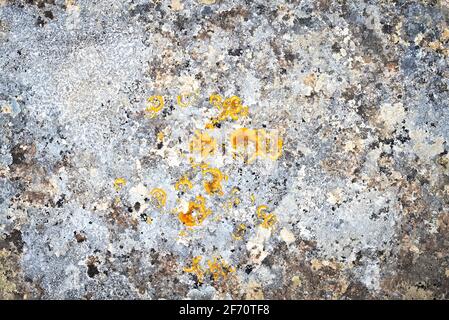 typical limestone of the Murgia of Matera Stock Photo