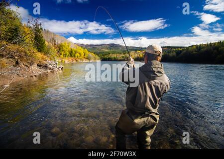 A fisherman catching a fish on a clear mountain river during the fall in North America. Stock Photo