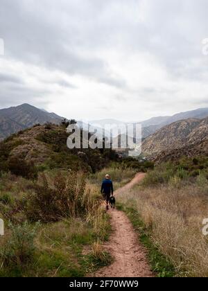 Man walking labrador retriever dog on trail in Ojai Valley with Topa Topa Mountains in the distance on an overcast day Stock Photo