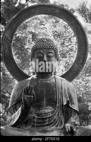 Buddha Statue, Japanese Tea Garden in Golden Gate Park, San Francisco, California. Bronze Buddha statue cast in 1790 in Japan Stock Photo