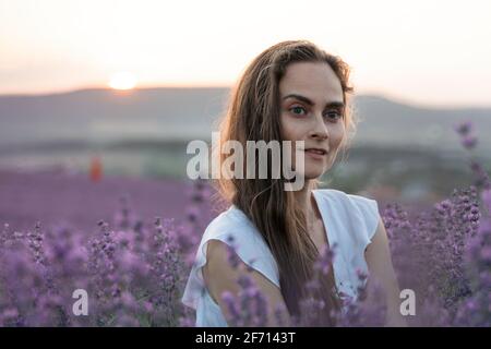 Close up portrait of happy young brunette woman in white dress on blooming fragrant lavender fields with endless rows. Warm sunset light. Bushes of Stock Photo