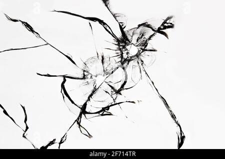 Cracked broken glass, the texture of cracked windshield from a stone blow or a bullet shot. Stock Photo