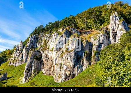 Crown rocks - Skaly Koronne - Jurassic massif with Glove Rock - Rekawica - in Pradnik creek valley of Cracow-Czestochowa upland in Ojcow in Poland Stock Photo