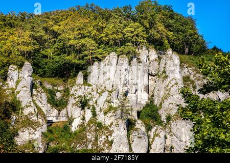 Crown rocks - Skaly Koronne - Jurassic massif with Glove Rock - Rekawica - in Pradnik creek valley of Cracow-Czestochowa upland in Ojcow in Poland Stock Photo