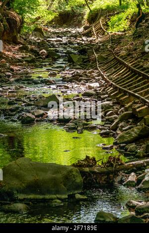 abandoned railroad line and rails in public transport and freight ...