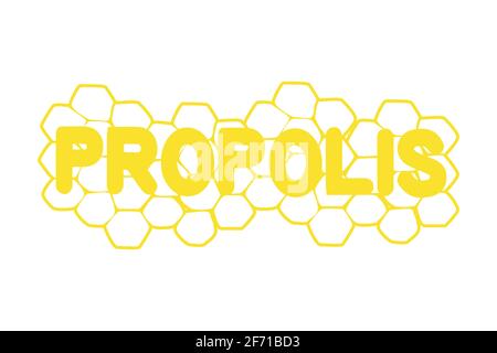 Honeycomb illustration with bee isolated on white background Stock Vector