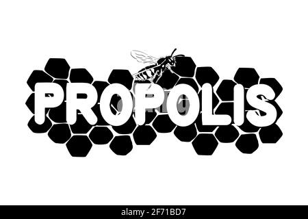 Honeycomb illustration with bee isolated on white background Stock Vector