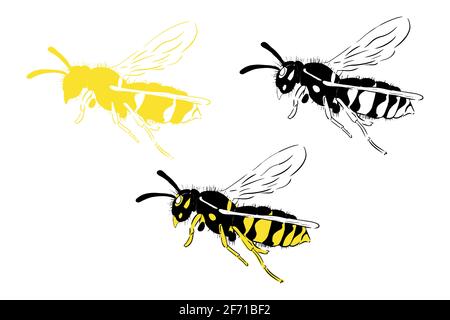 Bee set illustration black yellow isolated on white background Stock Vector