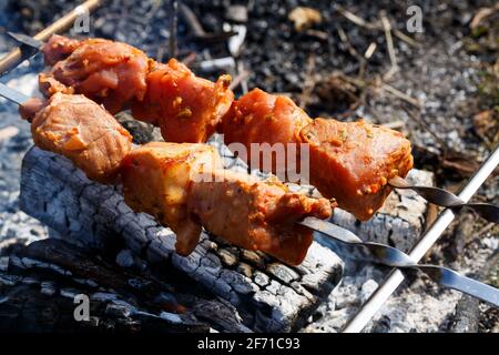 Juicy meat on a skewer. Frying kebabs in the fresh air. Summer afternoon picnic Stock Photo