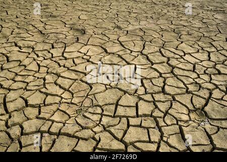 Cracked dry earth with cracks texture Stock Photo