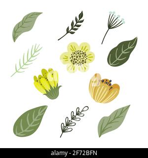 Vector floral set. Colorful floral collection with leaves and flowers, isolated on white background Stock Vector