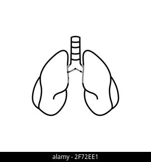 Human organ lungs color line icon. Pictogram for web page, mobile app, promo. UI UX GUI design element. Editable stroke. Stock Vector