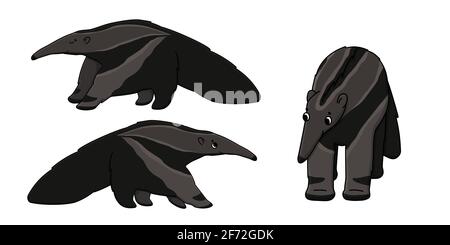 Set of three brown cute beautiful outline cartoon isolated ant-eaters or anteaters. Vector animals stand or go to somewhere, front and side view. Hand Stock Vector