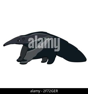 Vector gray beautiful outline cute fluffy cartoon isolated ant-eater or anteater. Animal stands and looks to the left. Hand drawn doodle illustration Stock Vector