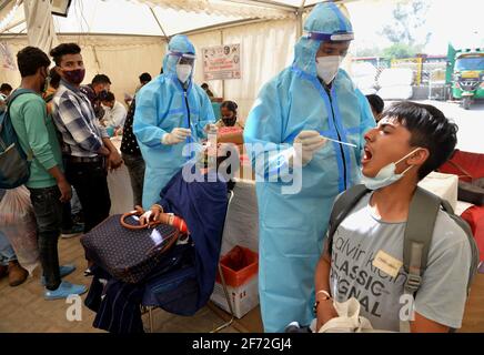New Delhi, India. 4th Apr, 2021. Health workers take swab samples from passengers for COVID-19 test at Anand Vihar bus terminal in New Delhi, India, April 4, 2021. India's COVID-19 tally rose to 12,485,509 on Sunday with 93,249 new cases reported from across the country, the highest daily number since September last year. Credit: Partha Sarkar/Xinhua/Alamy Live News Stock Photo
