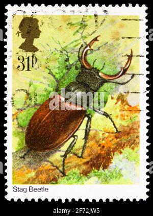 MOSCOW, RUSSIA - DECEMBER 22, 2020: Postage stamp printed in United Kingdom shows Stag Beetle (Lucanus cervus), Insects serie, circa 1985 Stock Photo