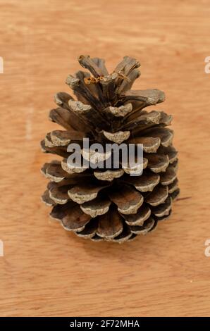 Pine Cone On Board Surface Stock Photo